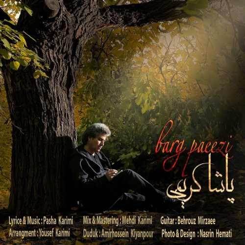  دانلود آهنگ جدید پاشا کریمی - برگ پاییزی | Download New Music By Pasha Karimi - Barge Paeizi