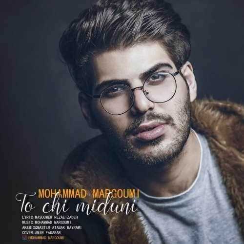  دانلود آهنگ جدید محمد مرقومی - تو چی میدونی | Download New Music By Mohammad Margoumi - To Chi Miduni