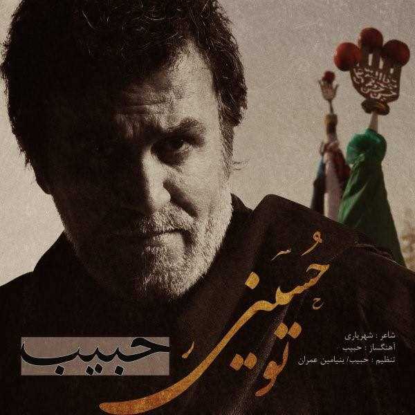  دانلود آهنگ جدید حبیب - تو حسینی | Download New Music By Habib - To Hosseini