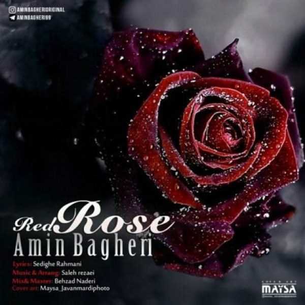  دانلود آهنگ جدید امین باقری - رز سرخ | Download New Music By Amin Bagheri - Red Rose