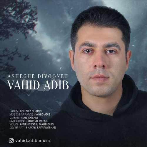  دانلود آهنگ جدید وحید ادیب - عاشق دیوونه | Download New Music By Vahid Adib - Asheghe Divooneh