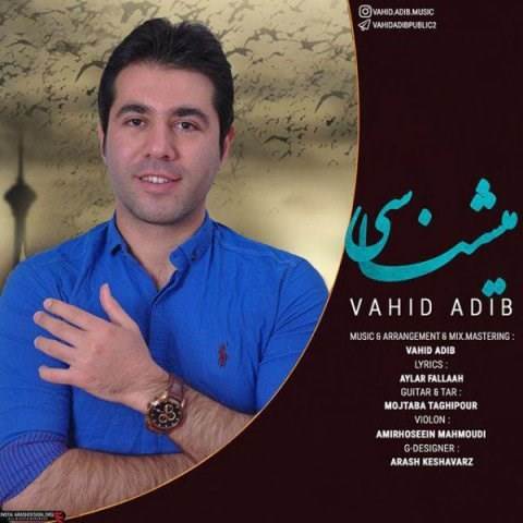 دانلود آهنگ جدید وحید ادیب - میشناسی | Download New Music By Vahid Adib - Mishnasi