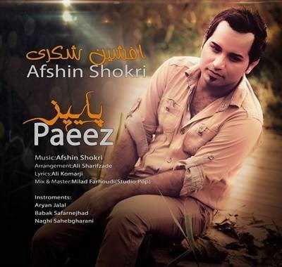  دانلود آهنگ جدید افشین شکری - پاییز | Download New Music By Afshin Shokri - Payiz