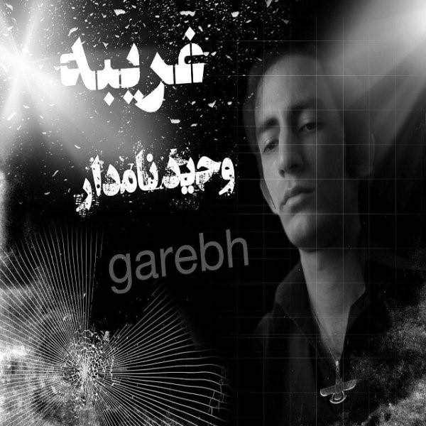  دانلود آهنگ جدید وحید نامدار - غریبه | Download New Music By Vahid Namdar - Gharibeh