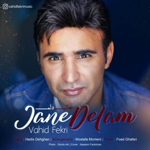  دانلود آهنگ جدید وحید فکری - جان دلم | Download New Music By Vahid Fekri - Jane Delam