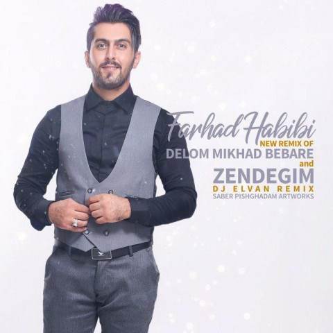  دانلود آهنگ جدید دی جی الوان - دلوم میخواد بباره | Download New Music By Farhad Habibi - Delom Mikhad Bebare & Zendegim (DJ Elvan Remix)