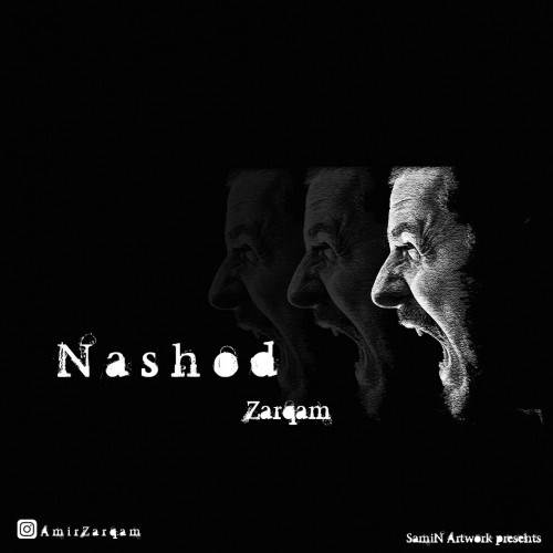  دانلود آهنگ جدید ضرغام - نشد | Download New Music By Zarqam - Nashod