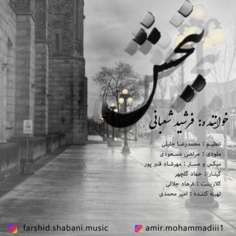  دانلود آهنگ جدید فرشید شعبانی - ببخش | Download New Music By Farshid Shabani - Bebakhsh