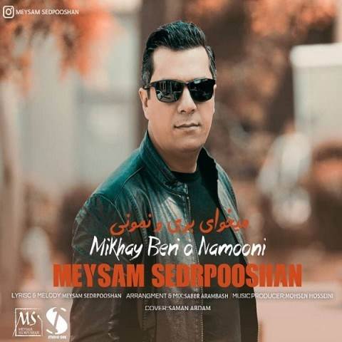  دانلود آهنگ جدید میثم سدرپوشان - میخوای بری و نمونی | Download New Music By Meysam Sedrpooshan - Mikhai Berio Namooni