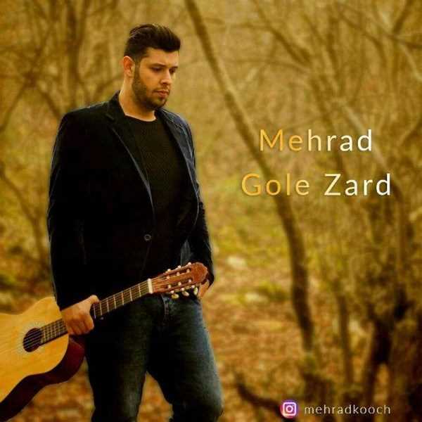  دانلود آهنگ جدید مهراد - گله زرد | Download New Music By Mehrad - Gole Zard