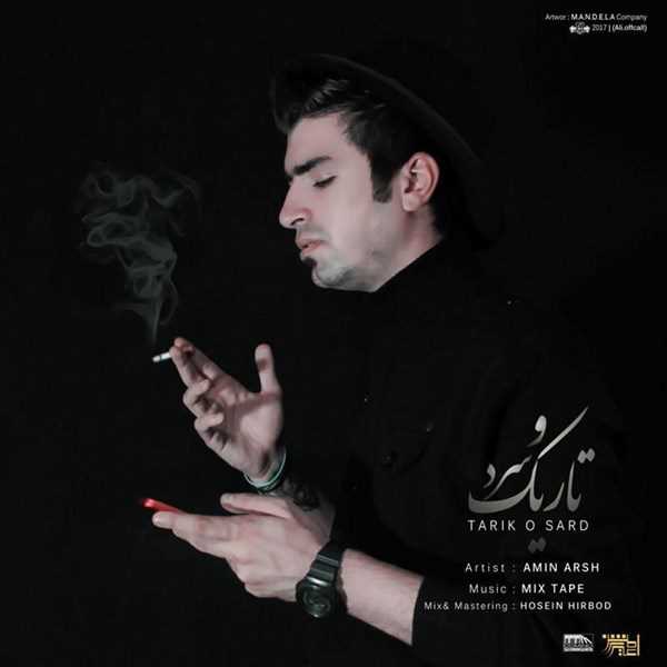  دانلود آهنگ جدید امین عرش - تاریکو سرد | Download New Music By Amin Arsh - Tarik O Sard