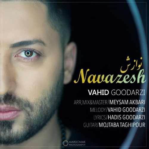  دانلود آهنگ جدید وحید گودرزی - نوازش | Download New Music By Vahid Goodarzi - Navazesh