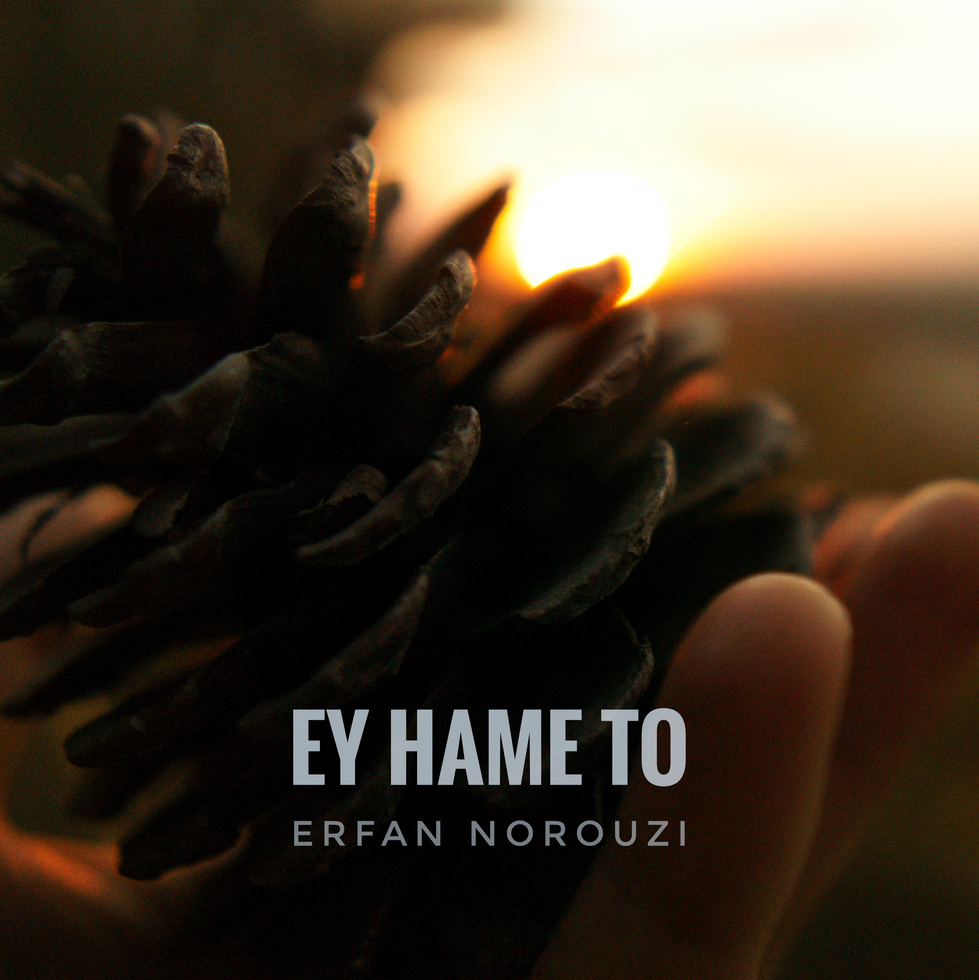  دانلود آهنگ جدید عرفان نوروزی - ای همه تو | Download New Music By Erfan Norouzi - Ey Hame To
