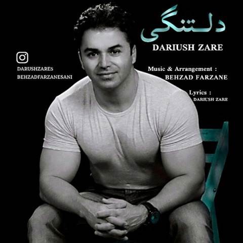  دانلود آهنگ جدید داریوش زارع - دلتنگی | Download New Music By Dariush Zare - Deltangi