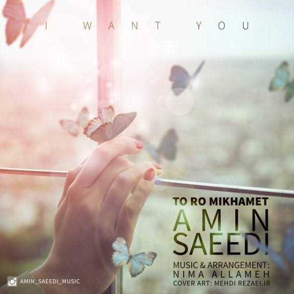 دانلود آهنگ جدید امین سعدی - تو رو میخوامت | Download New Music By Amin Saeedi - To Ro Mikhamet