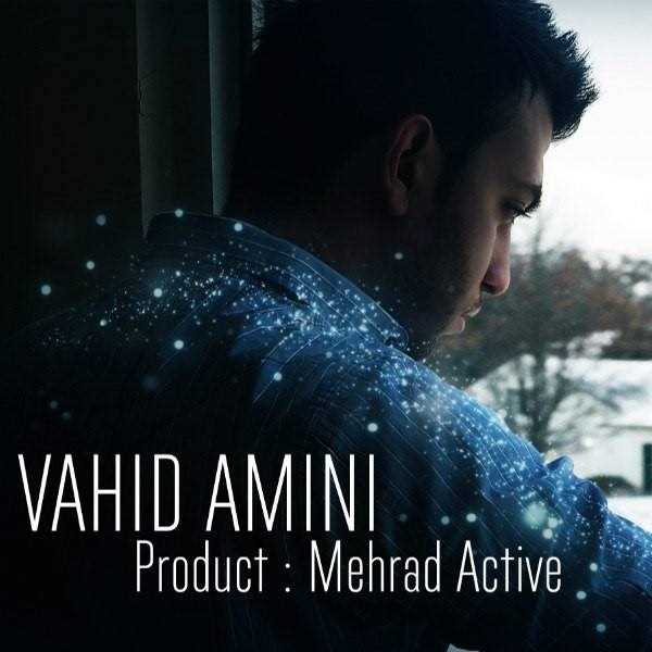  دانلود آهنگ جدید وحید امینی - با غلبه من چیکار دری | Download New Music By Vahid Amini - Ba Ghalbe Man Chikar Dari