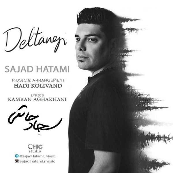  دانلود آهنگ جدید سجاد حاتمی - دلتنگی | Download New Music By Sajad Hatami - Deltangi