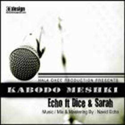  دانلود آهنگ جدید نوید اکو - کبود و مشکی | Download New Music By Navid Echo - Kaboodo Meshki