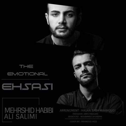  دانلود آهنگ جدید مهرشید حبیبی و علی سلیمی - احساسی | Download New Music By Mehrshid Habibi - Ehsasi (Ft Ali Salimi)
