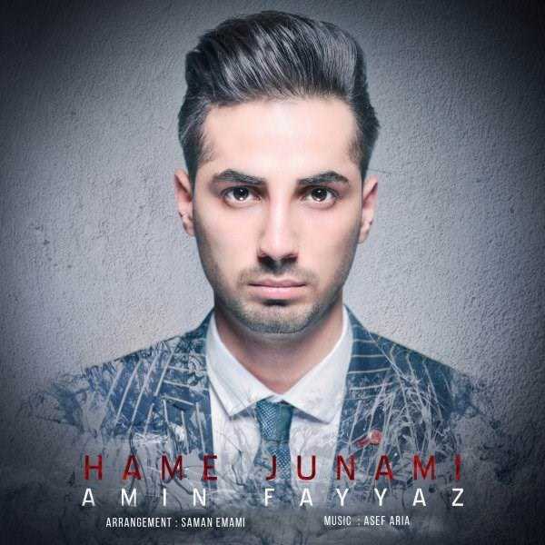  دانلود آهنگ جدید امین فیز - همه جونمی | Download New Music By Amin Fayyaz - Hame Junami