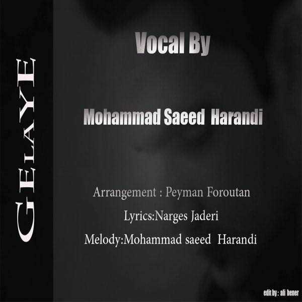  دانلود آهنگ جدید محمد ساعد هرندی - گلایه | Download New Music By Mohammad Saeed Harandi - Gelayeh