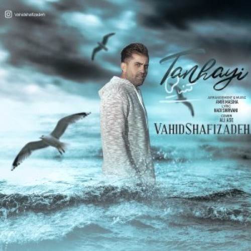  دانلود آهنگ جدید وحید شفیع زاده - تنهایی | Download New Music By Vahid Shafizadeh - Tanhaei