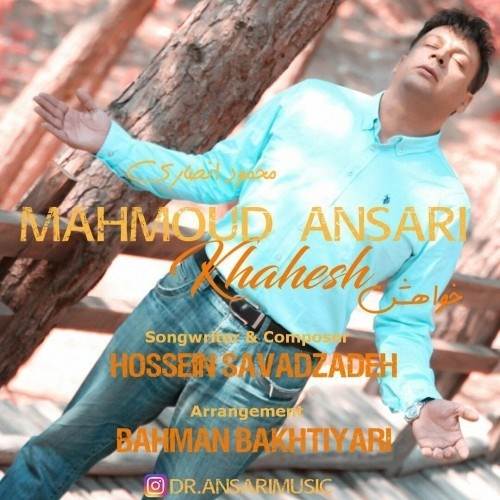  دانلود آهنگ جدید محمود انصاری - خواهش | Download New Music By Mahmoud Ansari - Khahesh