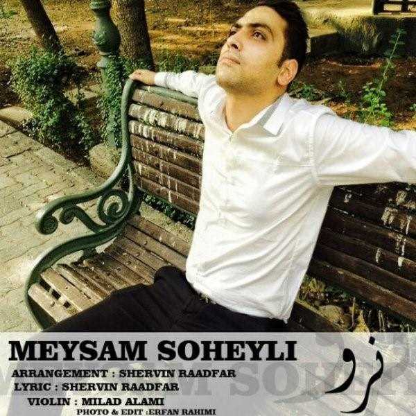  دانلود آهنگ جدید Meysam Soheyli - Naro | Download New Music By Meysam Soheyli - Naro
