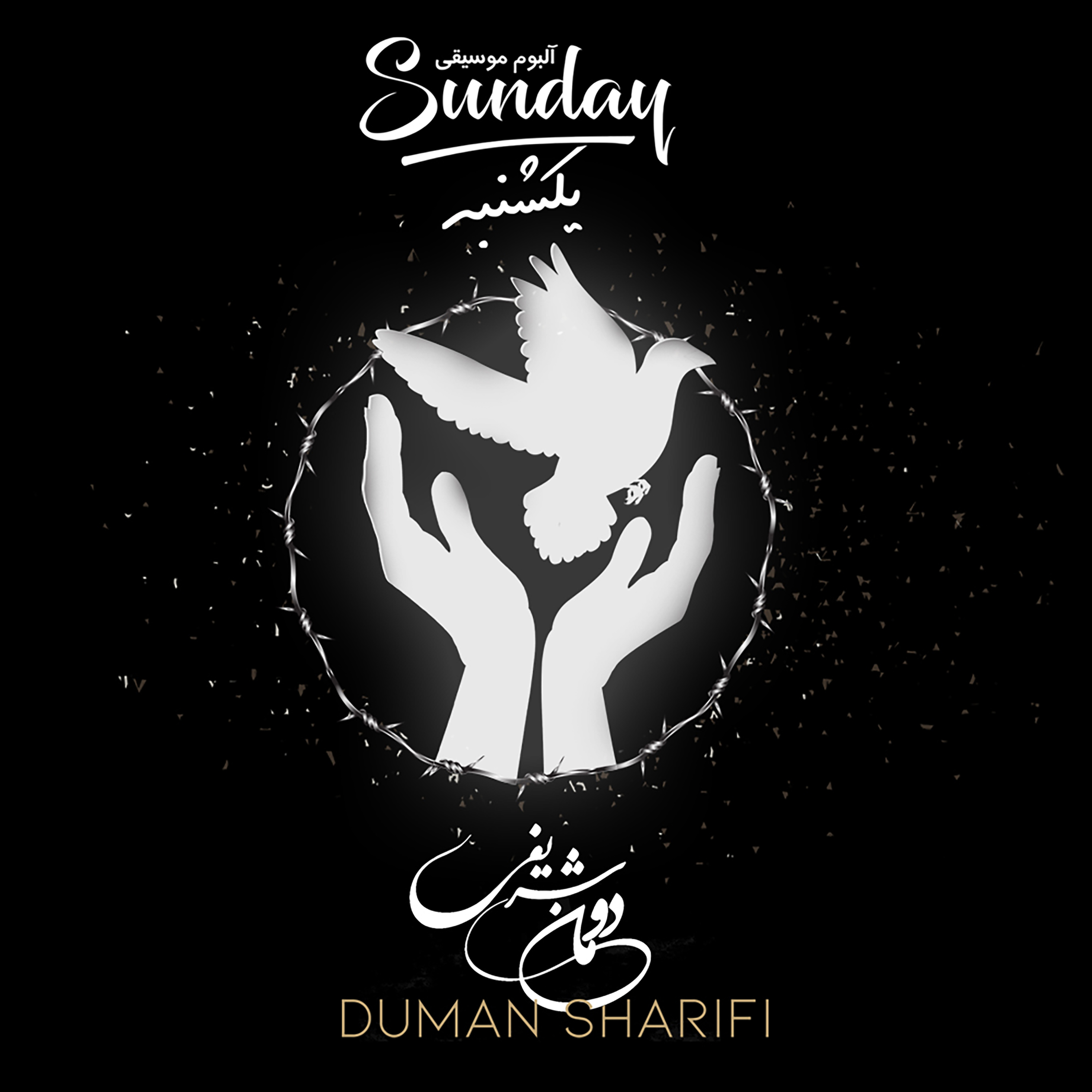  دانلود آهنگ جدید دومان شریفی - شاید | Download New Music By Duman Sharifi - Maybe