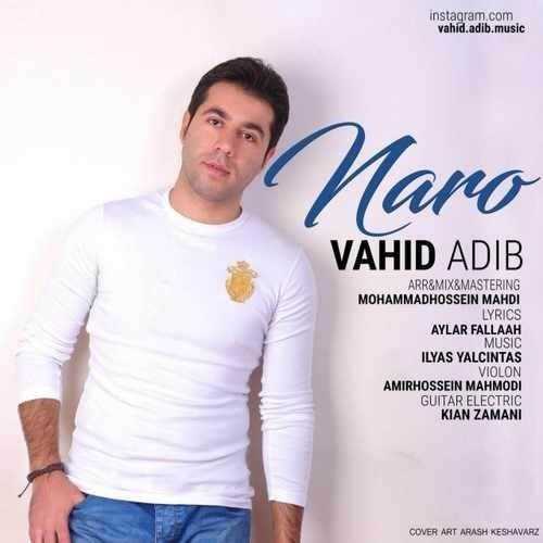  دانلود آهنگ جدید وحید ادیب - نرو | Download New Music By Vahid Adib - Naro