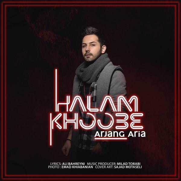  دانلود آهنگ جدید ارژنگ آریا - حالم خوبه | Download New Music By Arjang Aria - Halam Khoobe