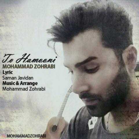  دانلود آهنگ جدید محمد ظهرابی - تو همونی | Download New Music By Mohammad Zohrabi - To Hamooni