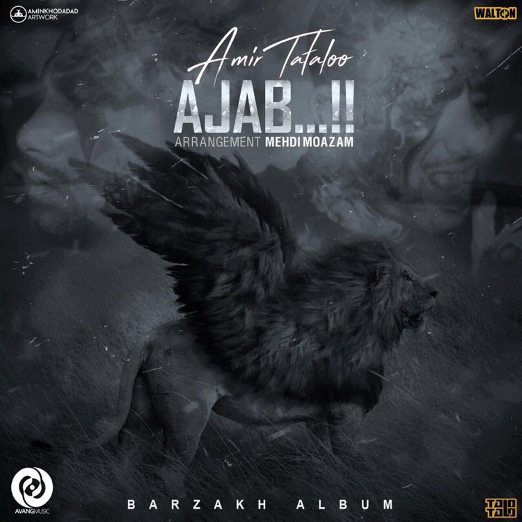 دانلود آهنگ جدید امیر تتلو - عجب | Download New Music By Amir Tataloo - Ajab