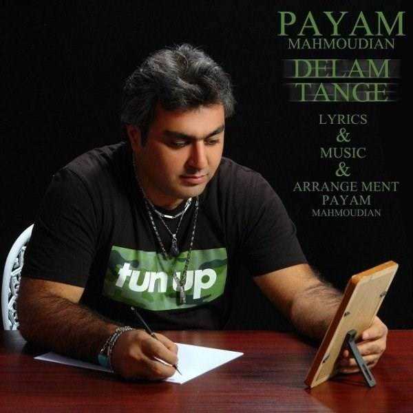  دانلود آهنگ جدید پیام محمودیان - دلم تنگه | Download New Music By Payam Mahmoudian - Delam Tange