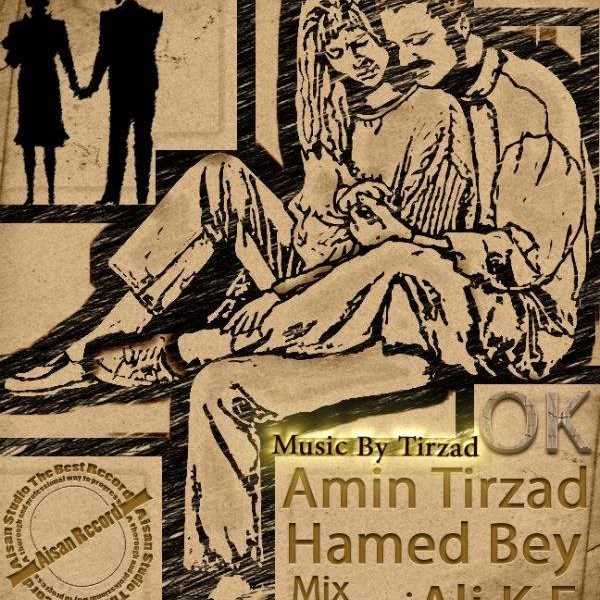  دانلود آهنگ جدید امین تیرزاد - وک (فت حامد بی) | Download New Music By Amin Tirzad - OK (Ft Hamed Bey)
