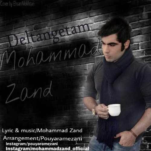  دانلود آهنگ جدید محمد زند - دلتنگتم | Download New Music By Mohammad Zand - Deltangetam