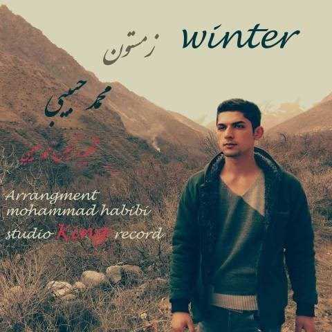  دانلود آهنگ جدید محمد حبیبی - زمستون | Download New Music By Mohammad Habibi - Winter