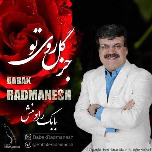  دانلود آهنگ جدید بابک رادمنش - جز گل روی تو | Download New Music By Babak Radmanesh - Joz Gole Rooye To