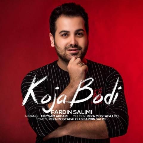  دانلود آهنگ جدید فردین سلیمی - کجا بودی | Download New Music By Fardin Salimi - Koja Bodi