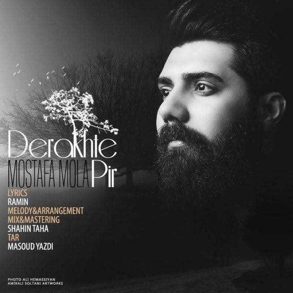  دانلود آهنگ جدید مصطفی مولا - درخت پیر | Download New Music By Mostafa Mola - Derakhte Pir