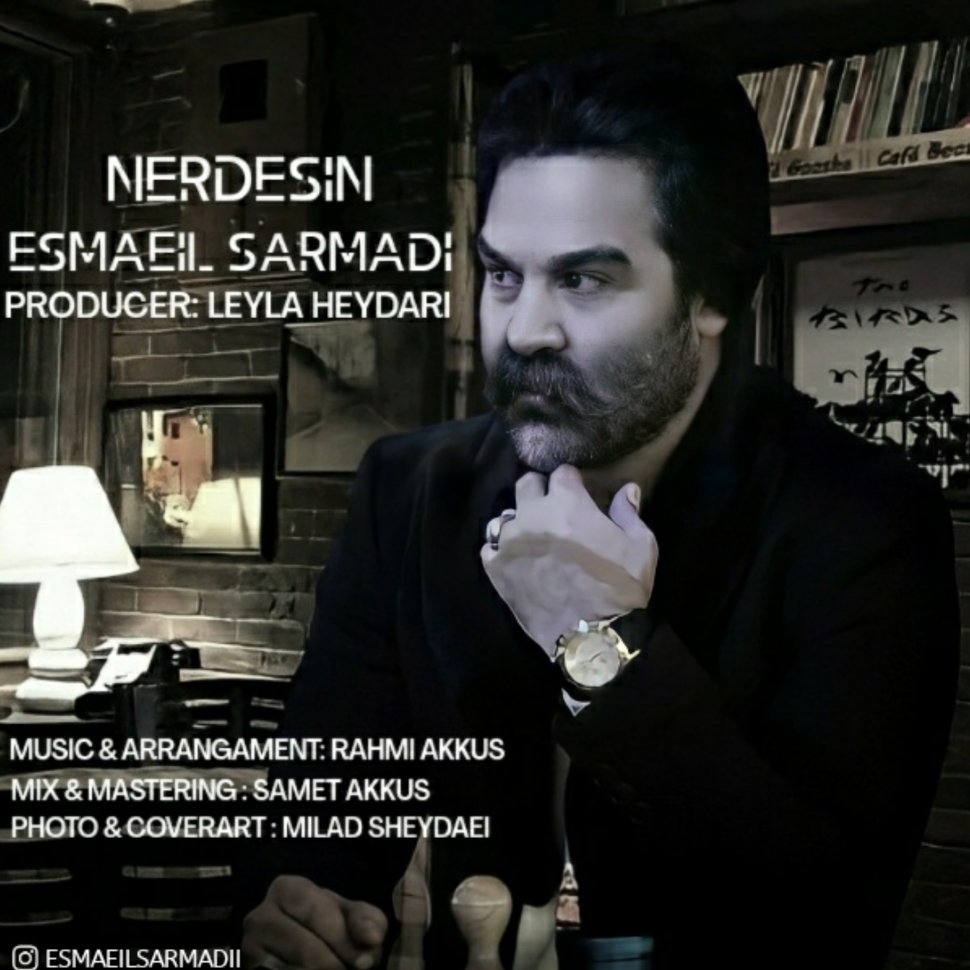  دانلود آهنگ جدید اسماعیل سرمدی - نردسین | Download New Music By Esmaeilsarmadii - Nerdesin