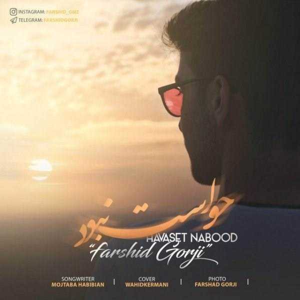  دانلود آهنگ جدید فرشید گرجی - حواست نبود | Download New Music By Farshid Gorji - Havaset Nabood