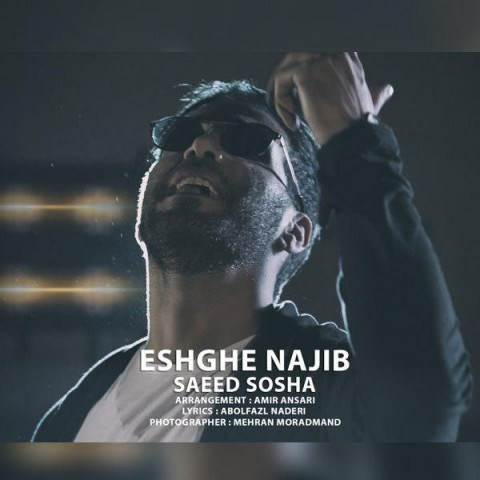  دانلود آهنگ جدید سعید سوشا - عشق نجیب | Download New Music By Saeed Sosha - Eshghe Najib