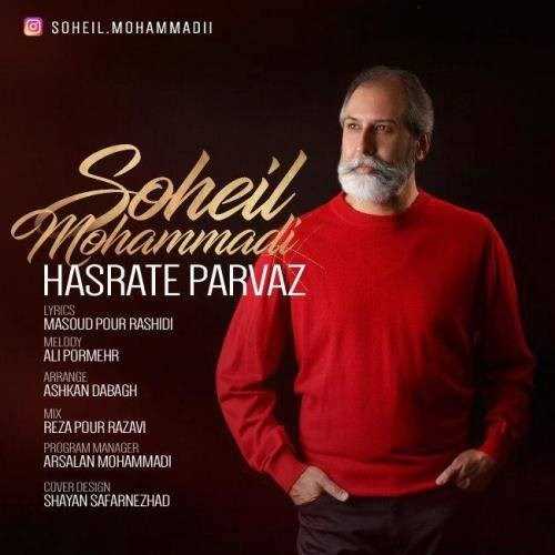  دانلود آهنگ جدید سهیل محمدی - حسرت پرواز | Download New Music By Soheil Mohammadi - Hasrate Parvaz