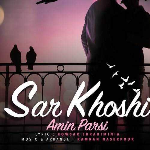  دانلود آهنگ جدید امین پارسی - سر خوشی | Download New Music By Amin Parsi - Sar Khoshi