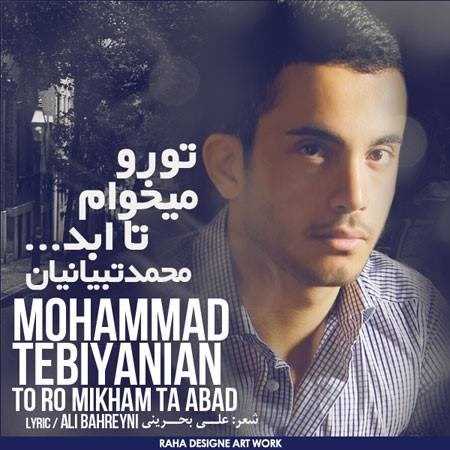  دانلود آهنگ جدید محمد تبیانیان - تو رو میخام تا اباد | Download New Music By Mohammad Tebianian - To Ro Mikham Ta Abad