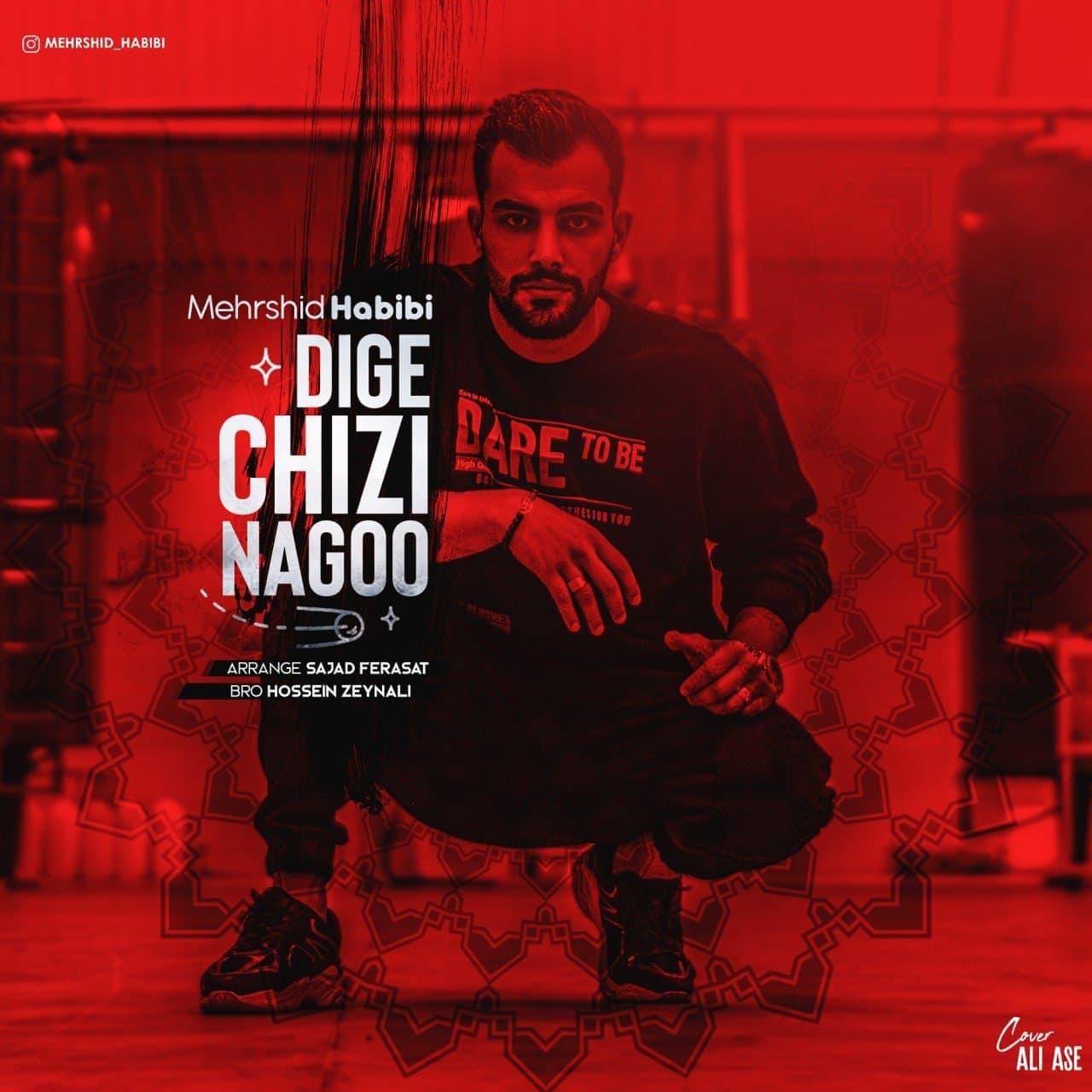  دانلود آهنگ جدید مهرشید حبیبی - دیگه چیزی نگو | Download New Music By Mehrshid Habibi  - Dige Chizi Nagoo