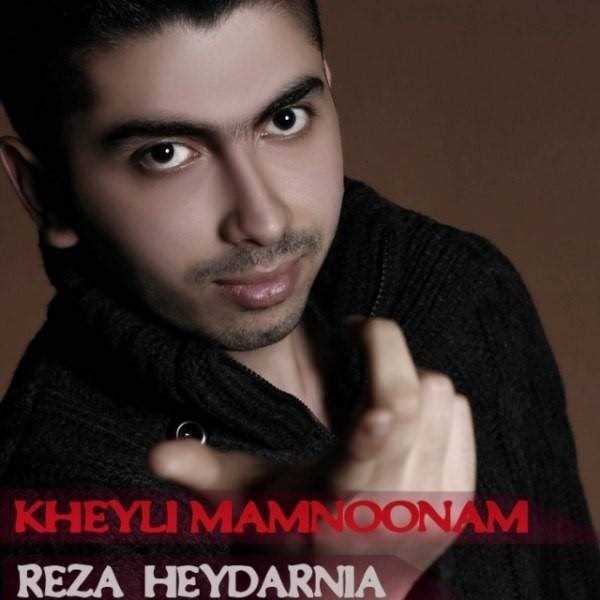  دانلود آهنگ جدید رضا حیدرنیا - خیلی ممنونم | Download New Music By Reza Heydarnia - Kheyli Mamnonam