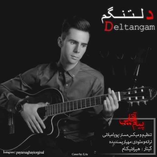  دانلود آهنگ جدید پیام آقایی - دلتنگم | Download New Music By Payam Aghayi - Deltangam