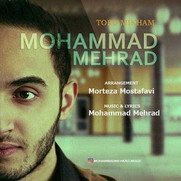  دانلود آهنگ جدید محمد مهراد - تورو میخوام | Download New Music By Mohammad Mehrad - Toro Mikham